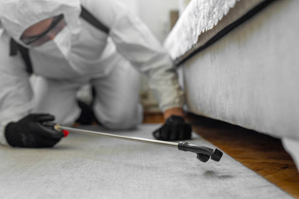 Professional Ant Control technician working in Bakersfield Country Club, CA