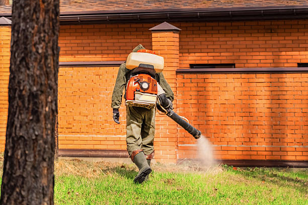 Trusted Bed Bug Control service in Bakersfield Country Club, CA - Nex Pest Control